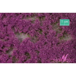Groundcover violet summer 1/87