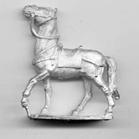 Horse for Celts and Romans, walking