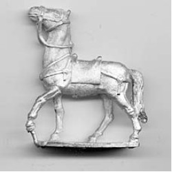 Horse for Celts and Romans, walking