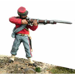 Garibaldi's Volunteer firing